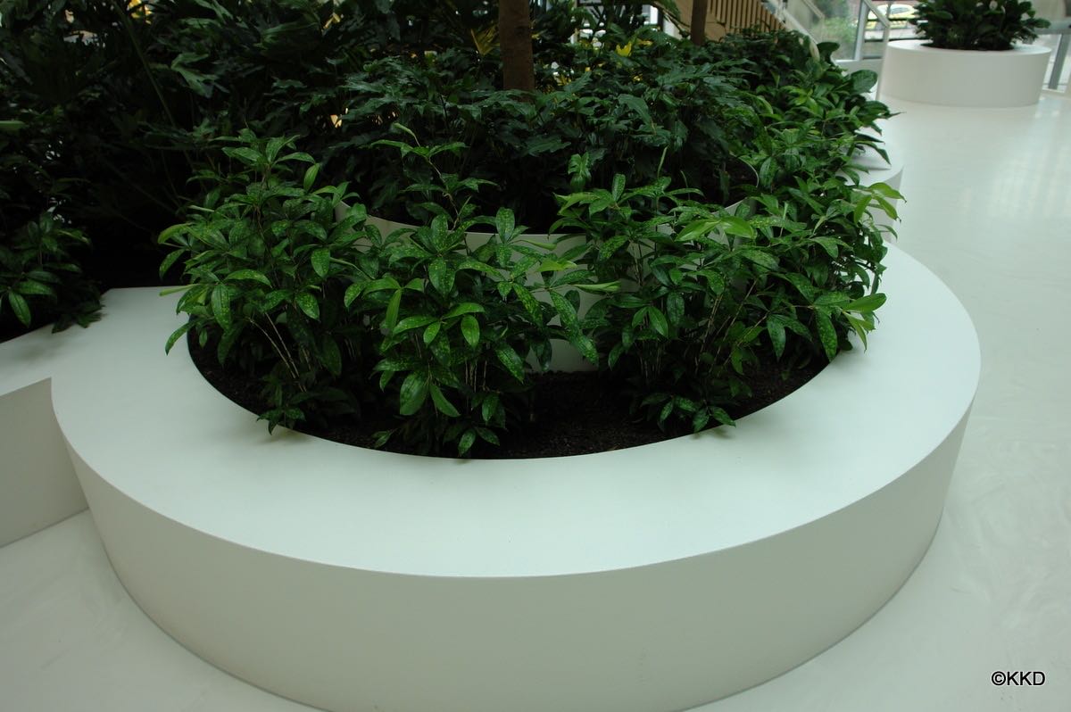 EPS plantenbakken voor binnentuin, foto 9