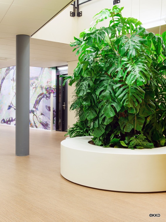 Grote kunststof plantenbak, foto 2